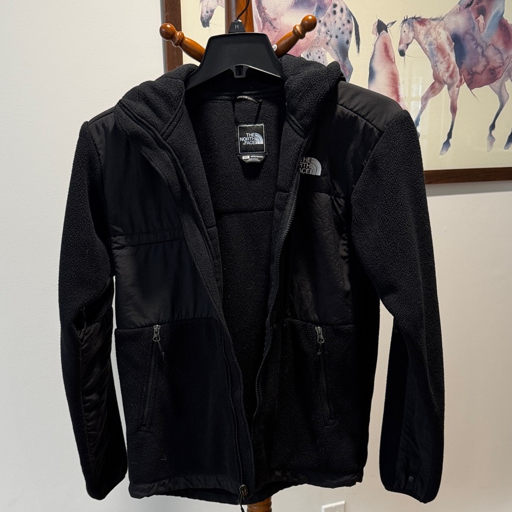 The North Face Men’s Hooded Jacket